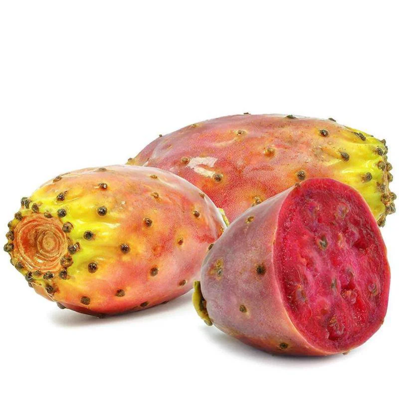 Prickly Pear Seed Oil
